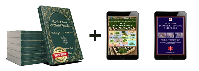 the lost book of herbal remedies